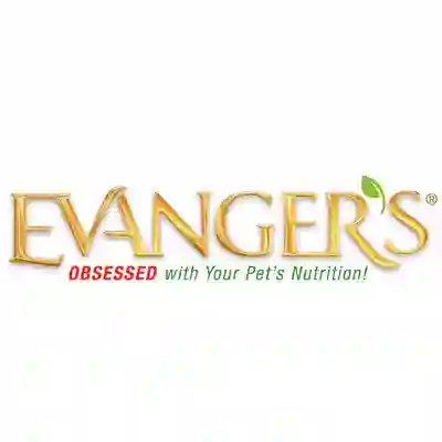 Image Alternative Text